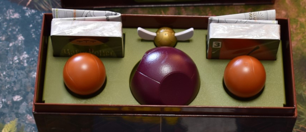 Harry Potter - Fang den goldenen Schnatz?>