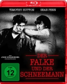 Der Falke und der Schneemann