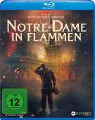 Notre-Dame in Flammen