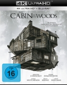 The Cabin in the Woods