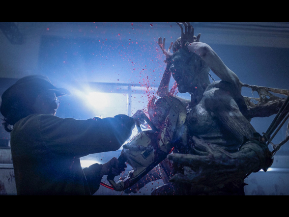 © capelight pictures OHG